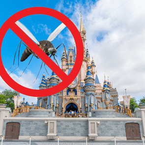 A mosquito with a red prohibition symbol overlays a fairy-tale castle under a partly cloudy blue sky.