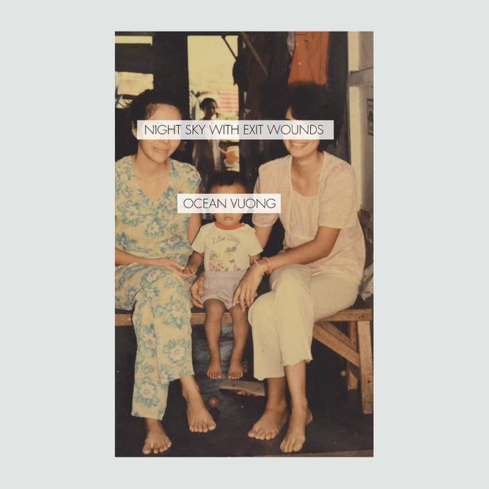 Ocean Vuong book