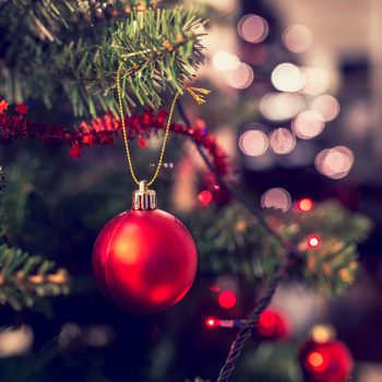 secrets_christmas_tree_wishes_knew_feeding
