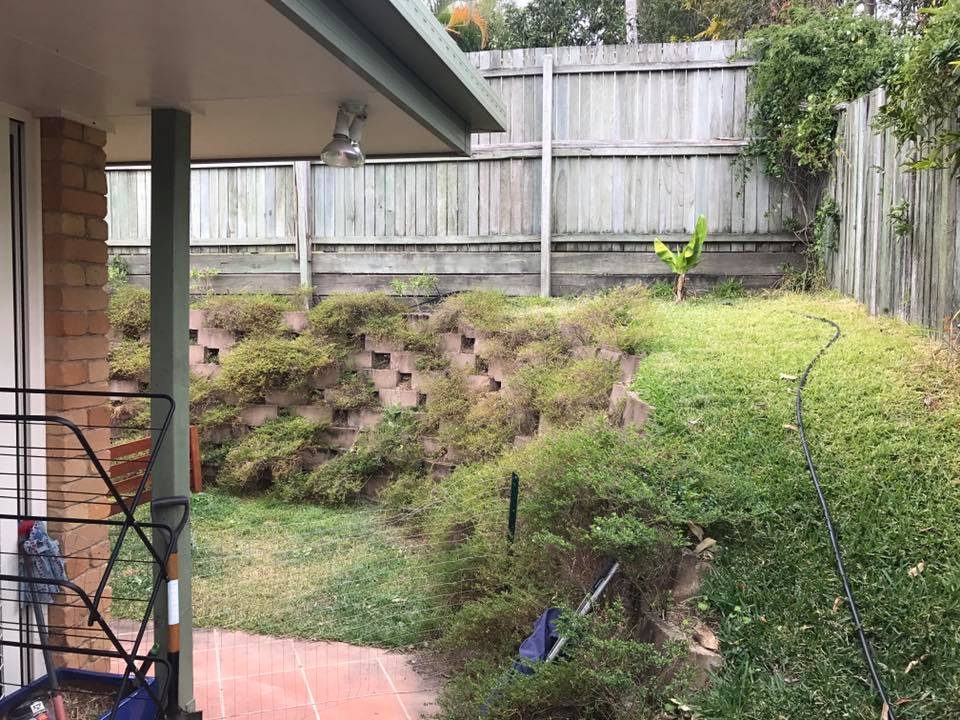 Most People Can’t Spot the Snake in This Photo—Can You?