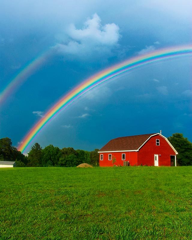 Rainbow