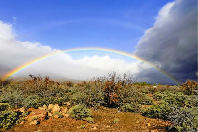 Rainbow