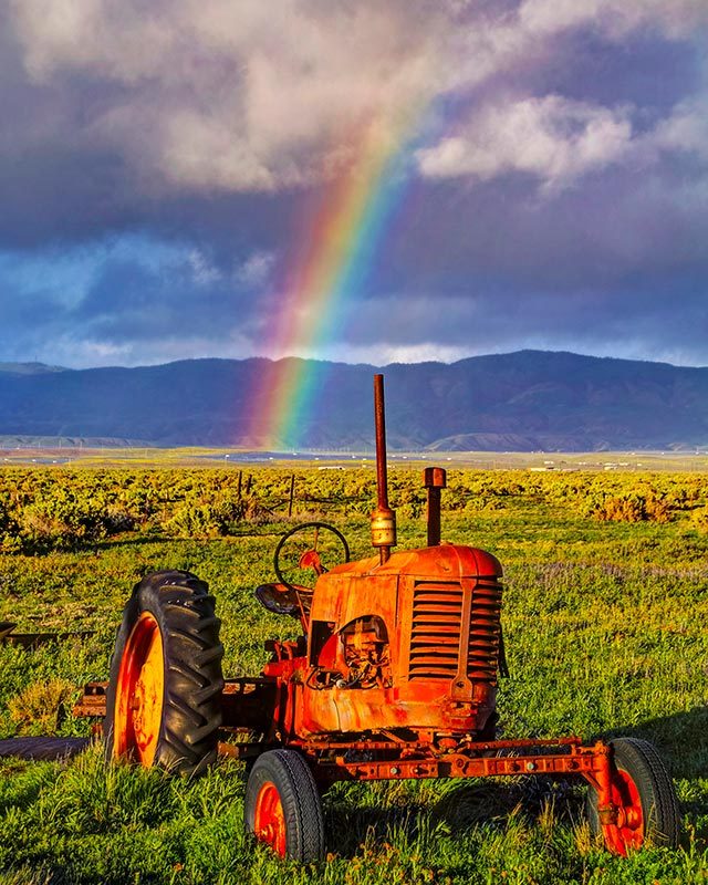 Rainbow