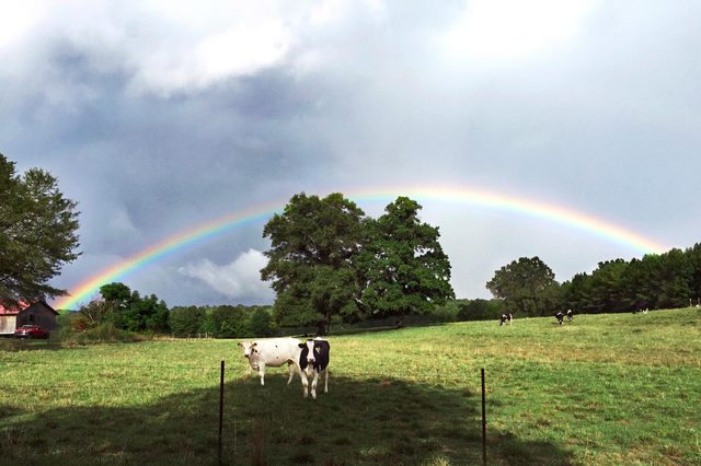 Rainbow