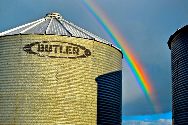 Rainbow