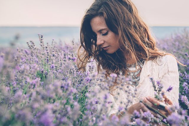 Lavender