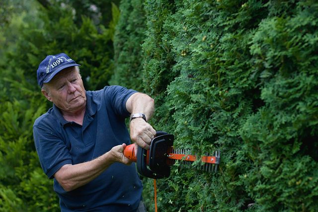 Gardening