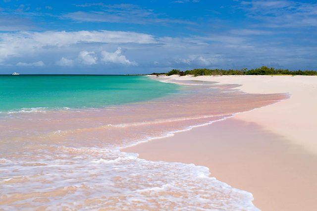 Pink-sand-beach