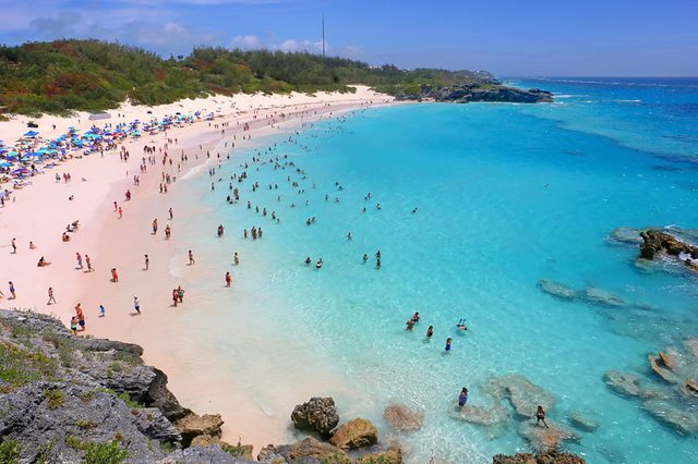 Pink-sand-beach
