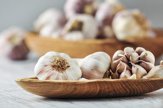 Garlic