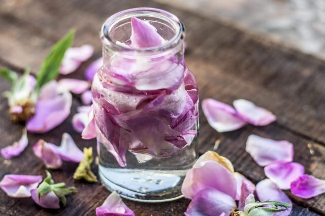 Rose-water