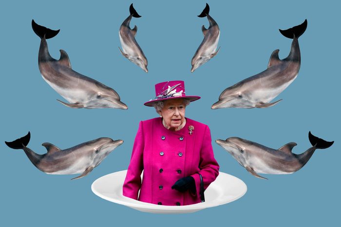 The-15-Most-Bizarre-Perks-of-the-Royal-Family