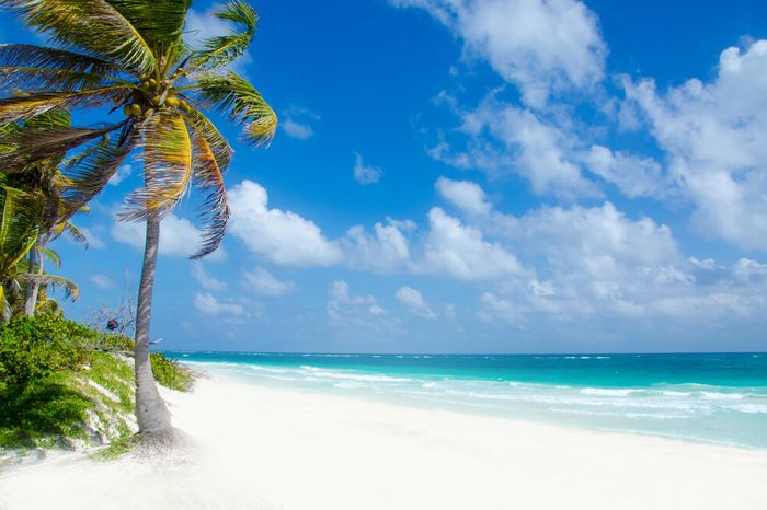 Wild Beach at Tulum - Yucatan Mexico