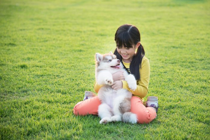 Beautiful asian girl playing with siberian husky puppy in the park