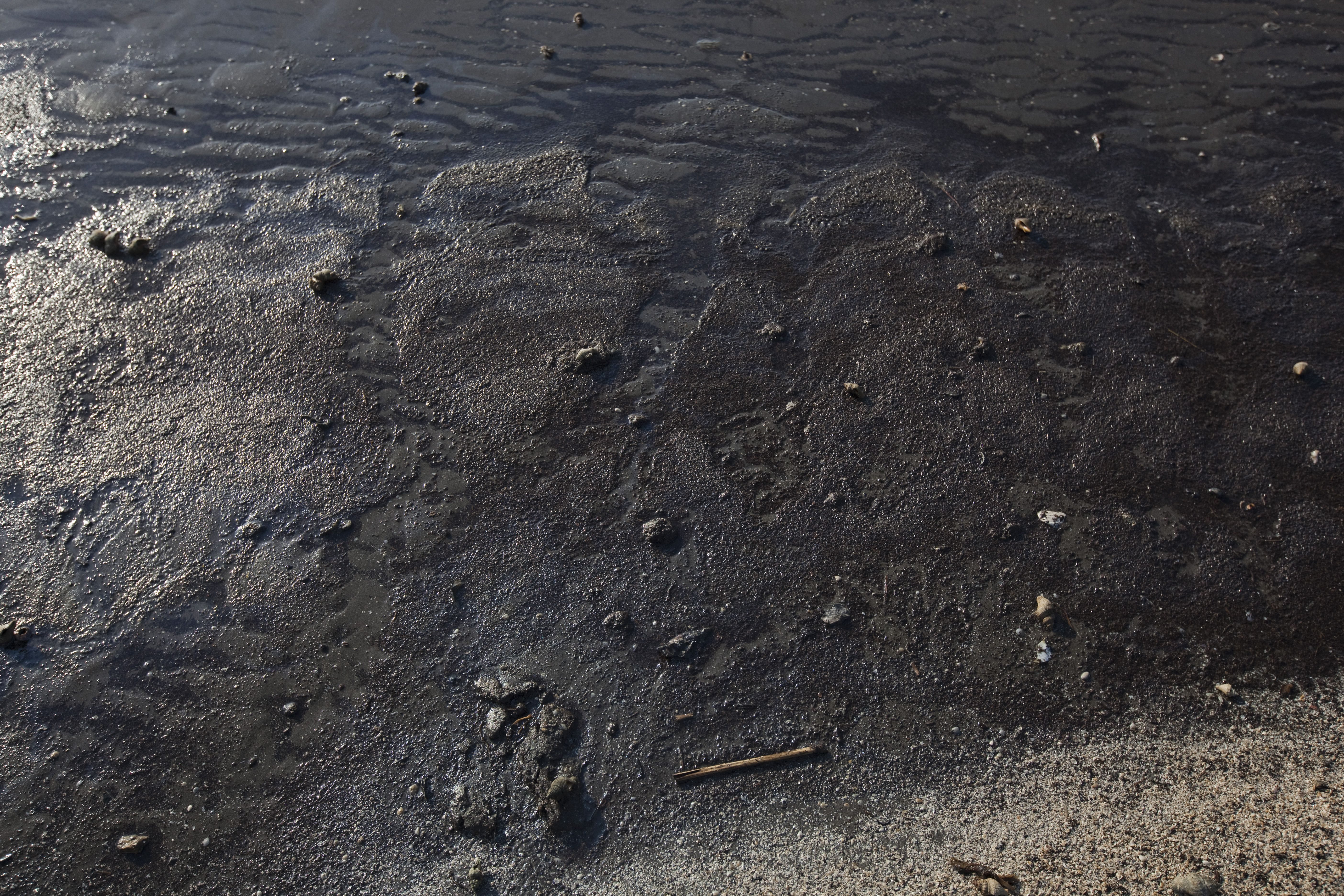 oil spill