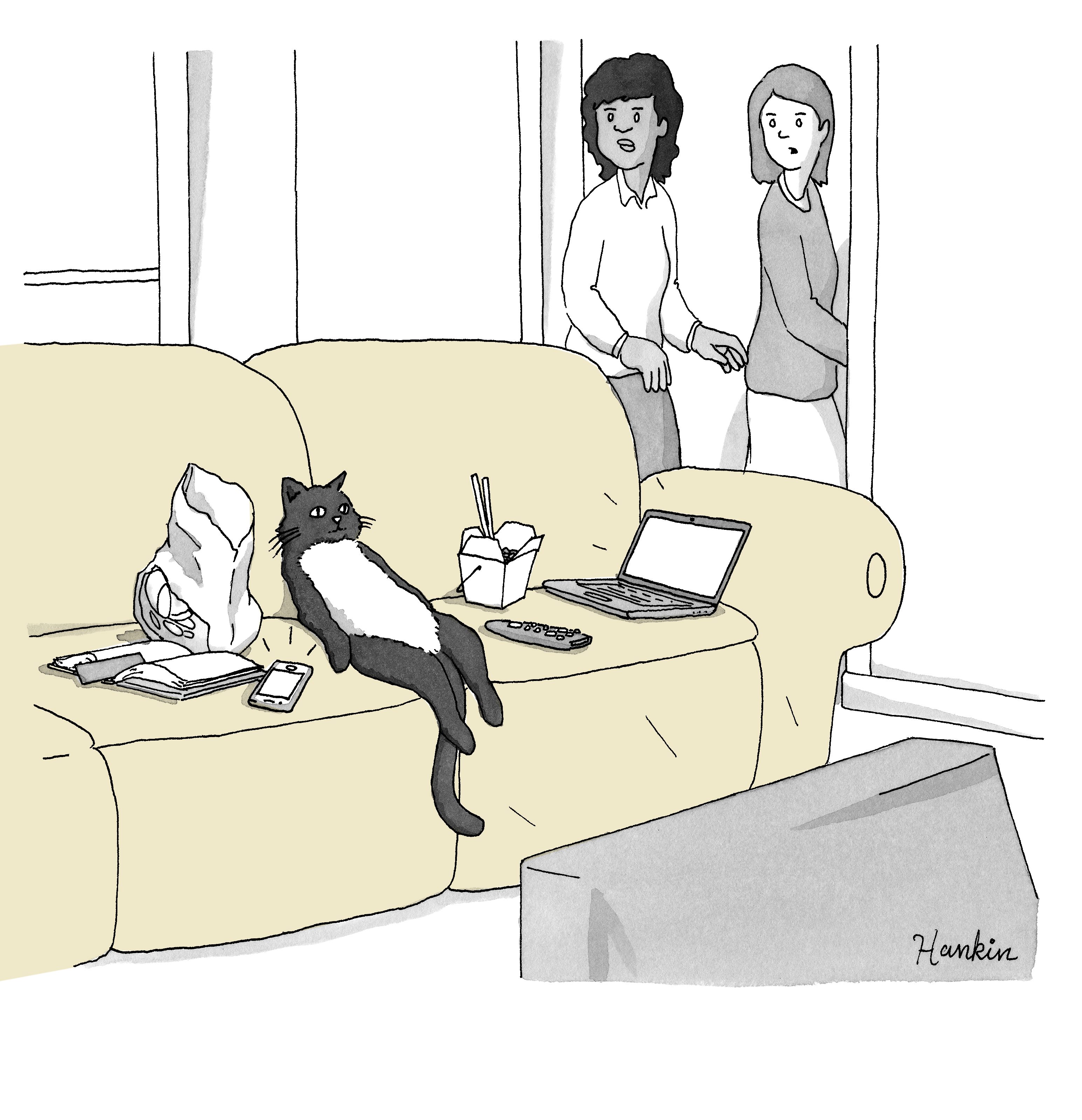 “He’s an indoor cat."