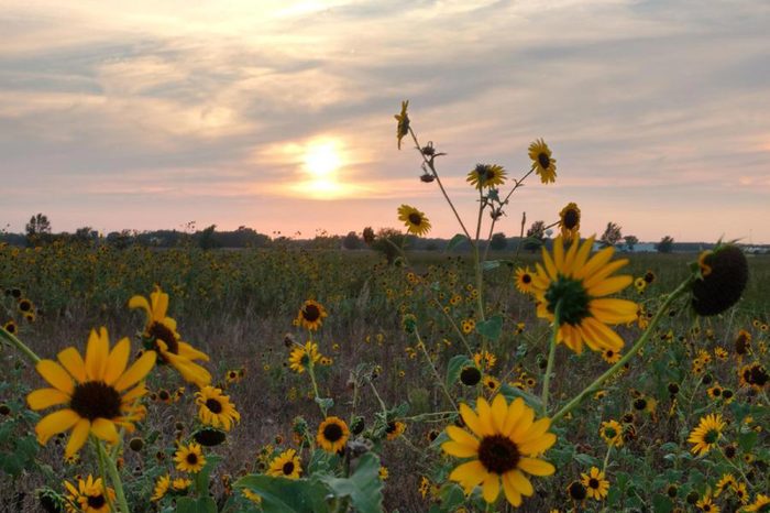 Kansas