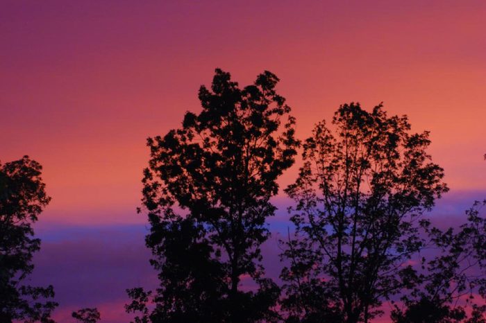 South Carolina