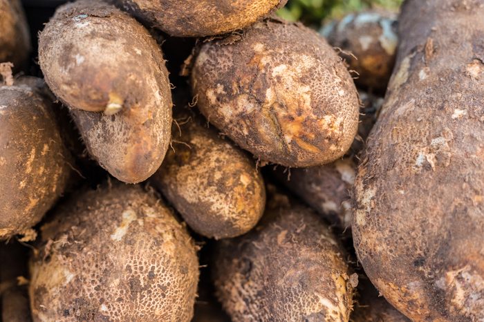 Yams, close-up
