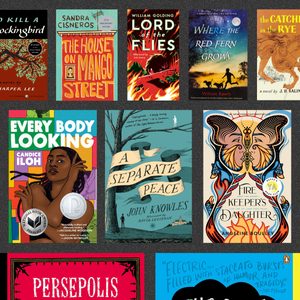 Collection of nine colorful book covers displayed on a dark background, featuring titles like 