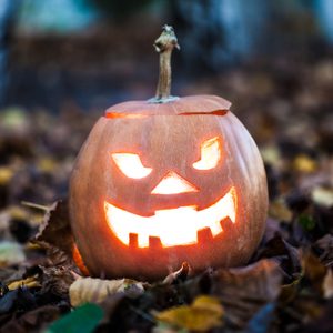 Jack-o'-lantern glowing with a menacing grin, situated outdoors on fallen autumn leaves.