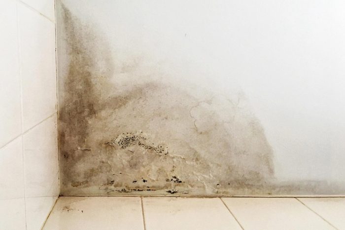 31 Secrets Your Plumber Won’t Tell You