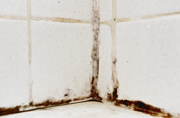 Using vinegar to clean mold and mildew
