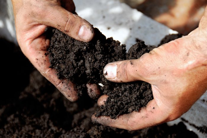 vinegar uses to test soil acidity or alkalinity