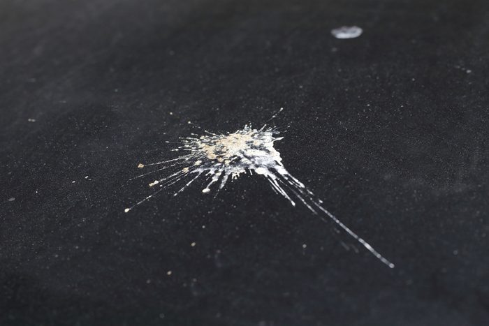 White vinegar for cleaning bird poop