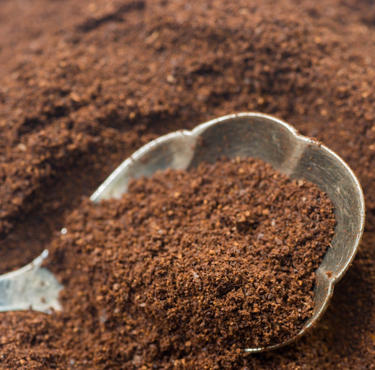 closeup to ground cofee in silver spoon;