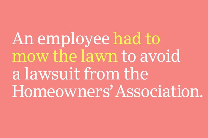 had to mow the lawn