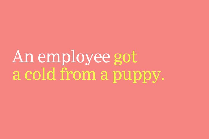 got a cold from a puppy