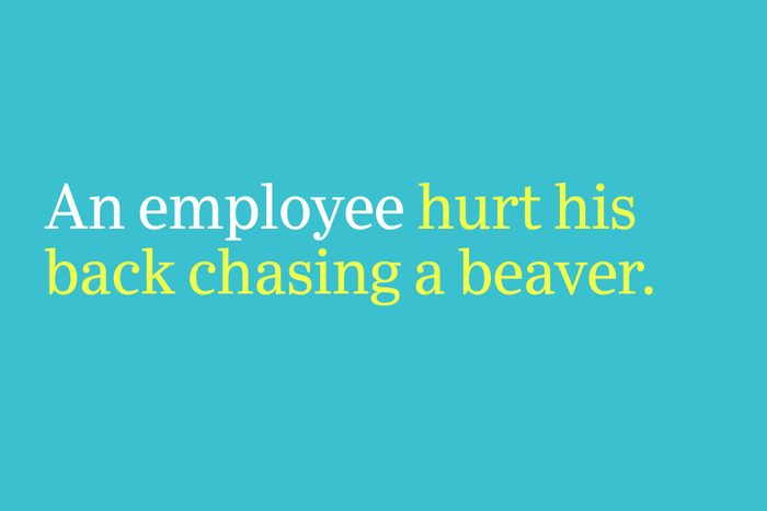 hurt his back chasing a beaver