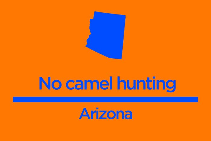 Arizona