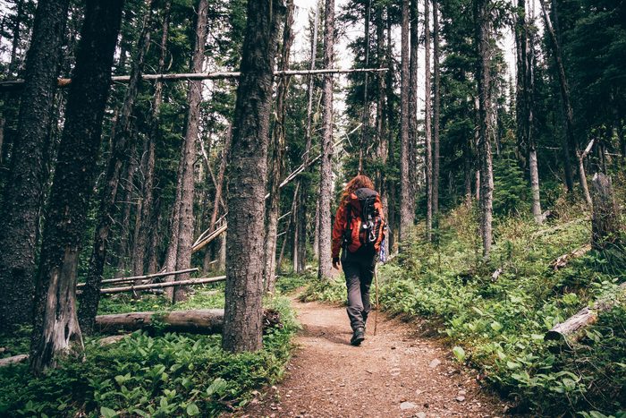 hiking forest