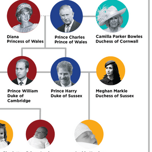 Family tree shows portraits connecting titles: Diana Princess of Wales, Prince Charles, Camilla, Prince William, Prince Harry, Meghan Markle, and three infants.