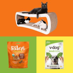 Three cats lounge on a two-level cardboard play structure against an orange background; pet treat bags labeled 