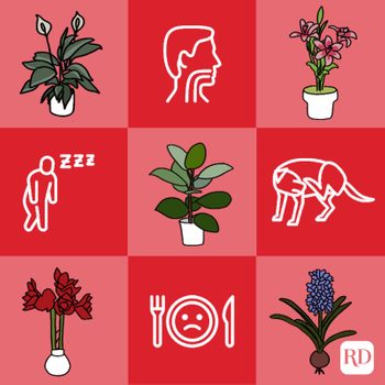 Grid of plants, icons, and symbols illustrating effects like allergies, fatigue, and indigestion. Some squares show flowers in pots, others depict symptoms.