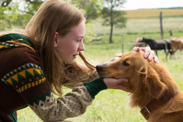 A Dog's Purpose movie