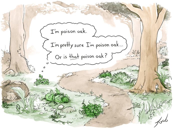 a bush in the woods wonders if he is poison oak or if THAT is poison oak