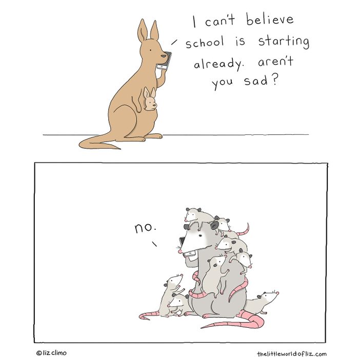 clingy opossum kids cartoon