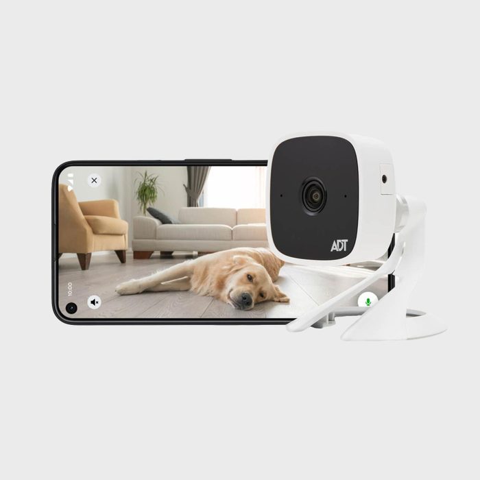 A security camera displays a dog lying on a living room floor, with a sofa and chair in the background.