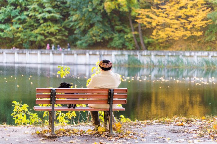 Lonely senior woman with a small black dog sitting on a bench by the autumn lake or river in a city park. Relaxation. Loneliness concept.