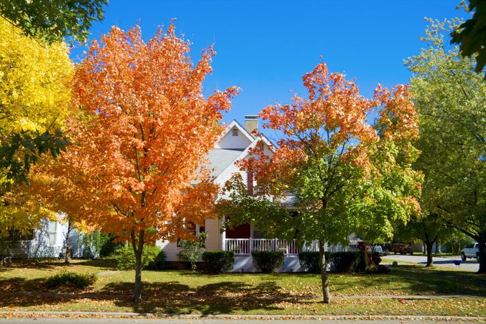Fall scene in a small town