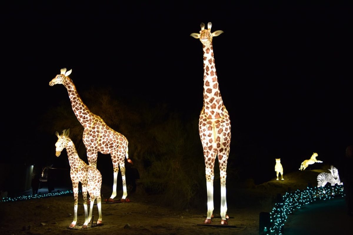 Living Desert Zoo And Gardens
