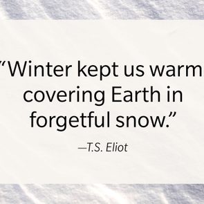 Quote expresses warmth of winter by T.S. Eliot, against a textured snowy background.