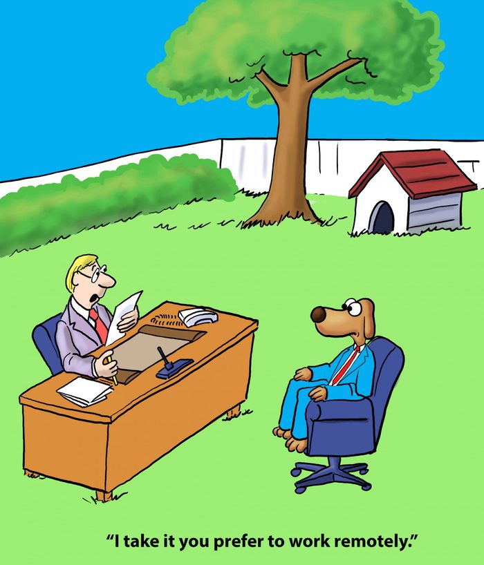 Dog prefers to work remotely