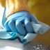 What Kills Bacteriaâ€”and What Doesn't