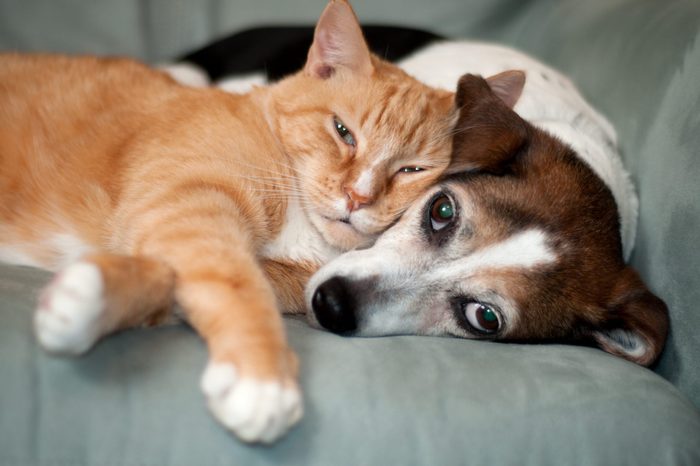 best friends