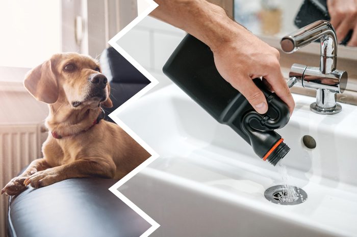 drain cleaner